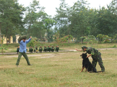 Chăm sóc sức khỏe tinh thần cho quân nhân