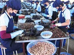 Thêm chính sách hỗ trợ nông dân sản xuất nông nghiệp 