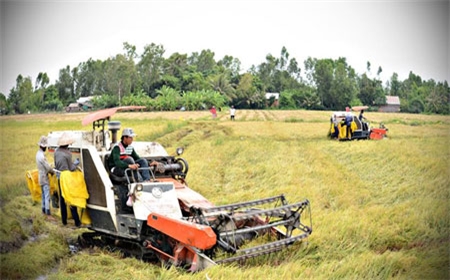 Tôn vinh 100 “Cánh đồng vàng” năm 2015