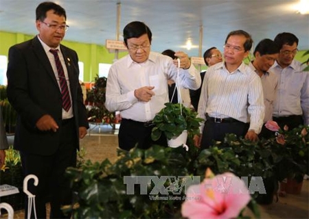 Chủ tịch nước Trương Tấn Sang: Nông dân cần có thông tin để phát triển sản xuất