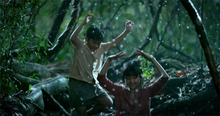 “Tôi thấy hoa vàng trên cỏ xanh” giành giải Ngôi sao xanh