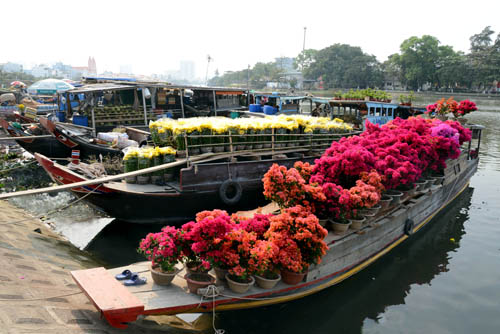 TP Hồ Chí Minh: Chợ hoa trên bến, dưới thuyền