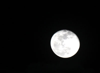 Trăng vẫn tròn, chỉ vắng bóng hình anh