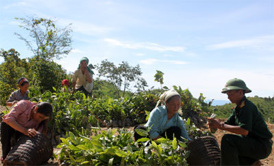 Mang no ấm đến với đồng bào   