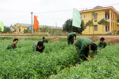 Bảo đảm tốt hậu cần cho SSCĐ và phòng, chống thiên tai