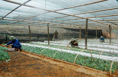 Hãy là Pa-ven của em, anh nhé!