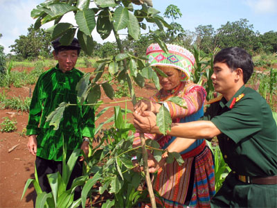 Người Mông làm  giàu trên quê mới