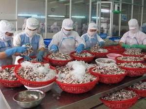 Cần cứu thị trường cho xuất khẩu tôm Việt Nam