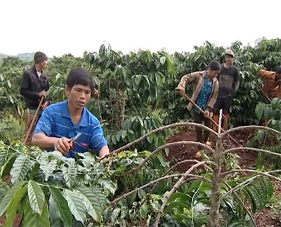 Hậu phương ấm áp của Eng