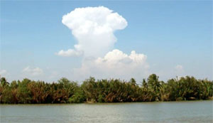 Bố tôi hy sinh khi đánh tàu trên sông Vàm Cỏ Tây