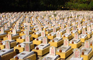 Mong có thông tin từ các đồng chí Lâm và Trúc, thuộc Tiểu đoàn 7, Trung đoàn 209, Sư đoàn 7, miền Đông Nam Bộ