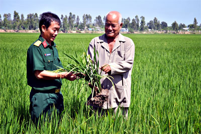 Tỏa sáng màu xanh biên giới