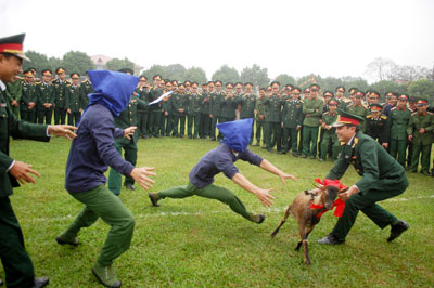 Lời nhắn gửi đầu Xuân của một người cha