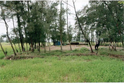 Tìm Đại đội trưởng Đại đội 3 - Thiếu úy Nguyễn Văn Tư