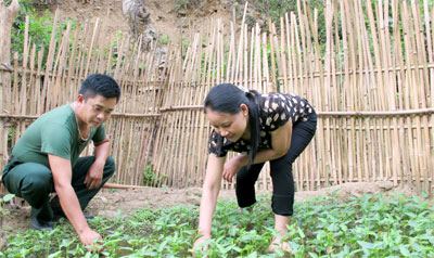 Ước mơ của vợ lính