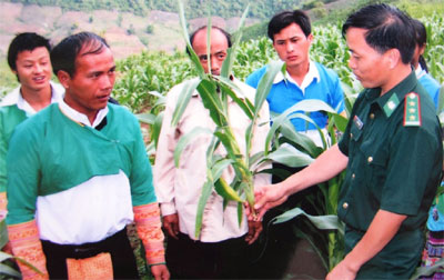 “Vựa ngô”, “thung lũng bò” ở Pù Nhi