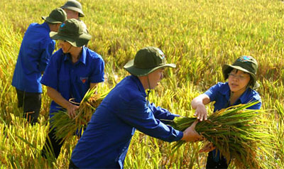 Cơ hội, quyết tâm và giải pháp