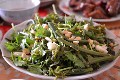 Về nguồn, nhớ mãi...