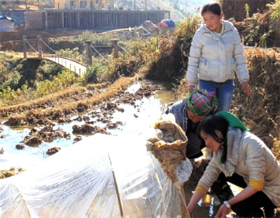 Thêm niềm vui mỗi dịp Xuân về