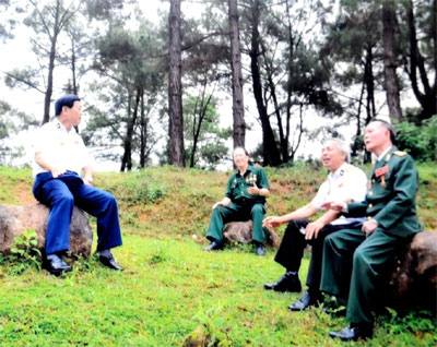 Đón Giao thừa bằng... rau tàu bay