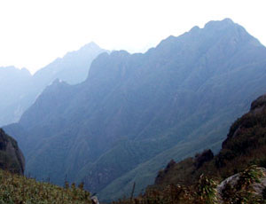 Liệt sĩ Nguyễn Đức Nhuận được đồng đội an táng bên khóm tre ở điểm cao 41A