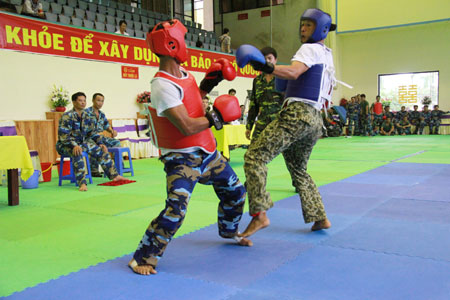 Quân chủng Hải quân: Hội thao võ chiến đấu tay không năm 2014