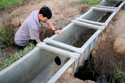 Trăm dâu đổ đầu… hợp tác xã!