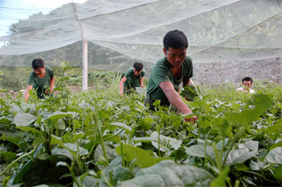 Lựa chọn từng vấn đề để lãnh đạo việc khắc phục hạn chế, khuyết điểm