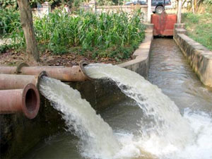 Người dân ở nhiều địa phương sớm bắt tay vào sản xuất 