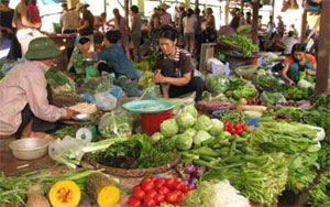Giá thực phẩm ở nhiều địa phương ổn định sau tết 