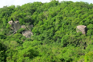 Tìm thông tin về khu mộ ở bản Khăm-kẹo, huyện Át-xa-păn-thong (Lào)