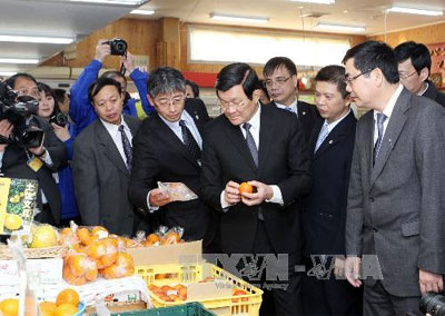 Chủ tịch nước Trương Tấn Sang thăm mô hình nông nghiệp hiện đại bậc nhất Nhật Bản