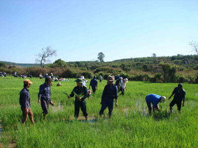 Công  ty 72: Đầu tư 11 tỷ đồng giúp dân phát triển kinh tế