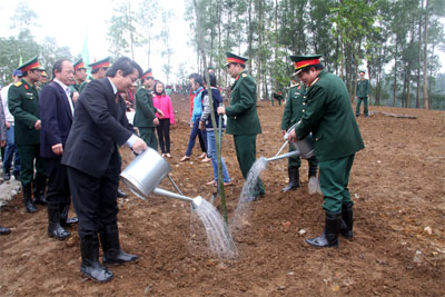 Đồi cây “dạy” sử