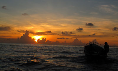 Biển, em và nỗi nhớ