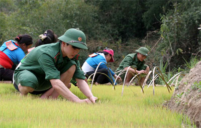 Bộ đội “bốn cùng”, vùng biên khởi sắc