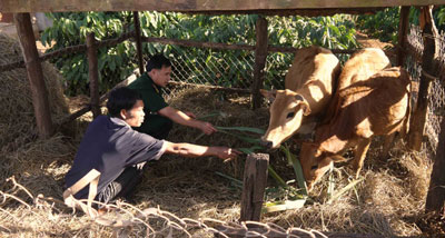 Bộ CHQS tỉnh Gia Lai: Giúp 86 hộ dân thoát nghèo