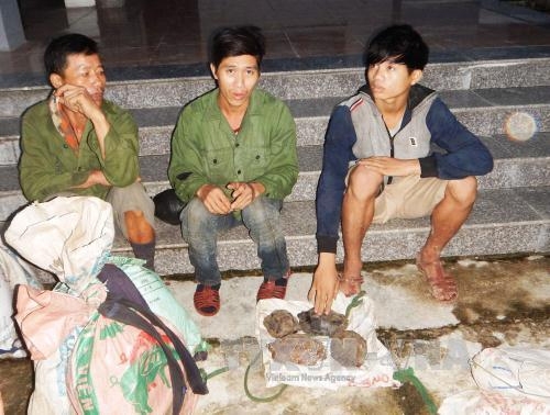 Bắt giữ 3 vụ đặt bẫy bắt động vật hoang dã ở Vườn Quốc gia Phong Nha-Kẻ Bàng 