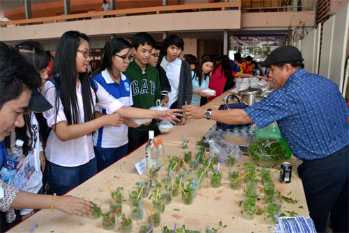 Ngày hội văn hóa Việt Nam - Cu-ba tại TP Hồ Chí Minh