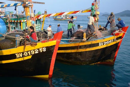 Xuân về Côn Đảo