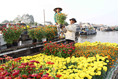 Chợ nổi Cái Răng ngày áp Tết