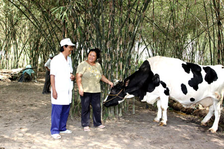 Vinamilk thu mua sữa tươi nguyên liệu của nông dân tăng gần 22%