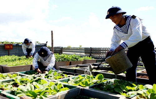 Tăng gia... mọi miền