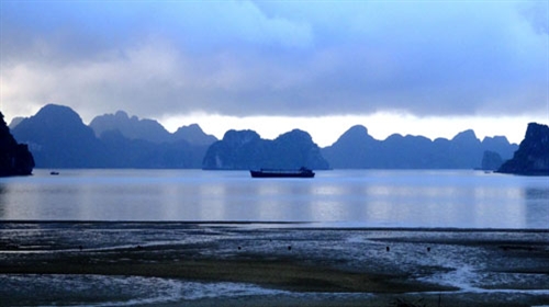 Có thể chồn chân ở Vân Đồn