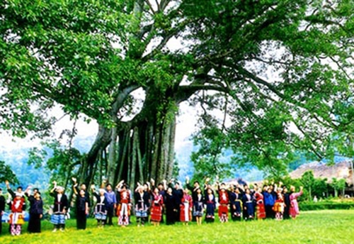 Ai vô ơn, bạc nghĩa?