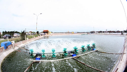 Huyện đầu tiên của miền Bắc đạt chuẩn Nông thôn mới