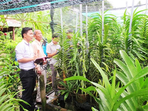 TP Hồ Chí Minh: Khảo sát thực tế xây dựng nông thôn mới