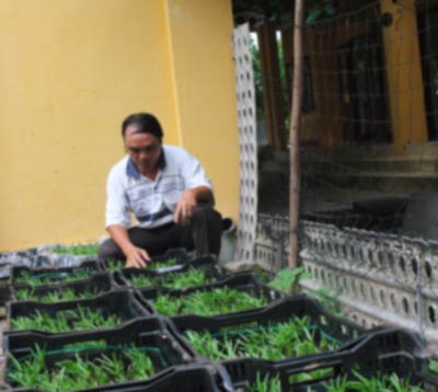 Hiệu quả từ Dự án nuôi trồng mới ở Trường Sa