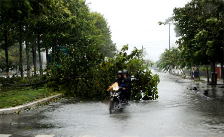 Bão số 11 gây hậu quả nghiêm trọng tại tỉnh Quảng Trị, Quảng Nam