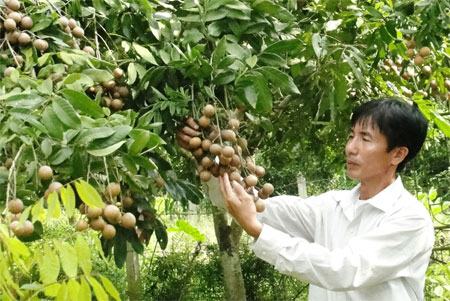 Người nặng lòng với 